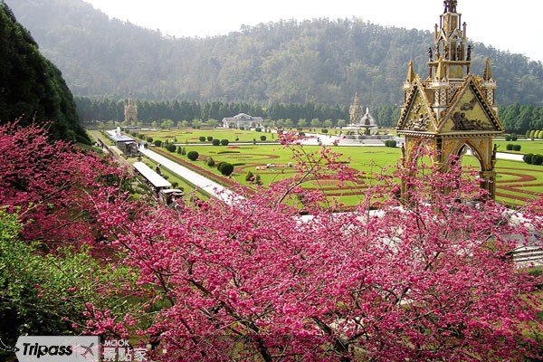 日月潭九族樱花祭今天登场