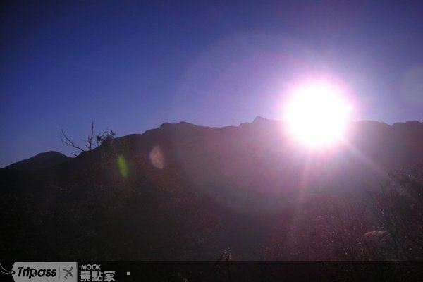 跨年上阿里山搭免费接驳享入园优惠