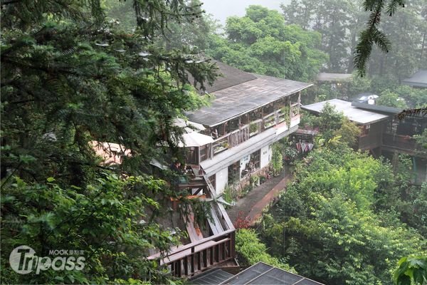 走访客家桐花山村，沉浸南庄迷人桂花香