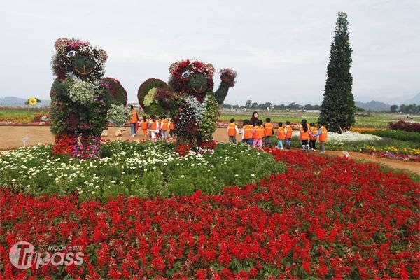 春节到南投赏花正是时候