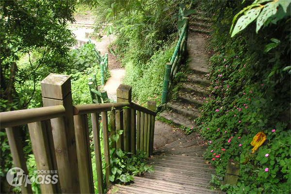 远眺阿里山森林铁路，独立山古道8/20开爬
