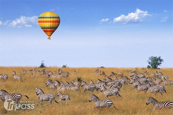热气球猎游、百大帐篷旅馆，顶级非洲团出发！