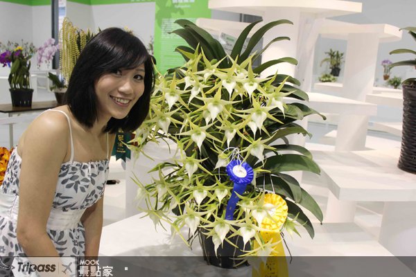 花博避免“人比花多”，周二、周三人最少！