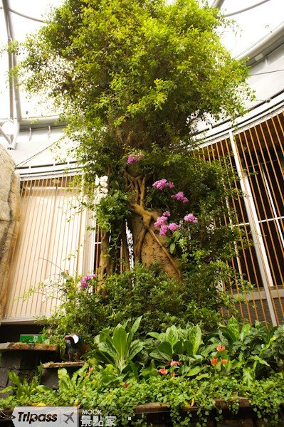 未来绿建筑与植物共存的建筑典范::未来馆