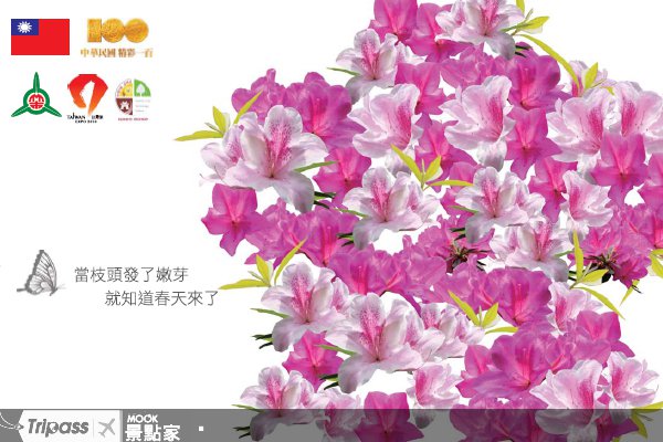 十八尖山赏花月，3/5新竹开锣