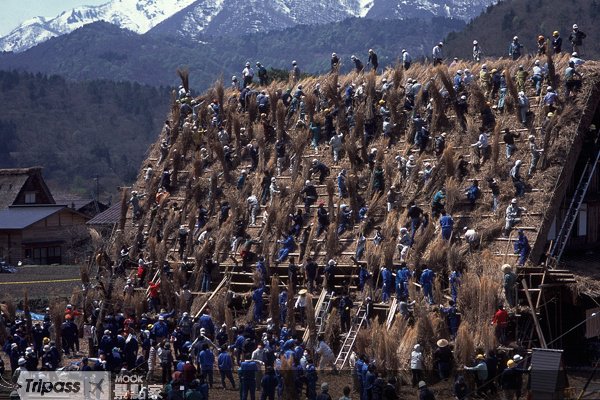 与世无争的世界遗产悠然合掌村::白川乡