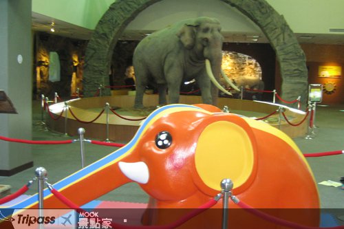 溜滑梯变身吉祥物，宣传火烧岛马拉松赛