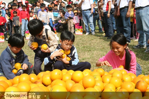 台东香丁节免费索取采果、美食券