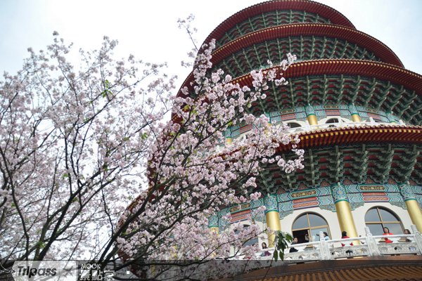 兔年古味浓，全台老街庙宇祈福去！