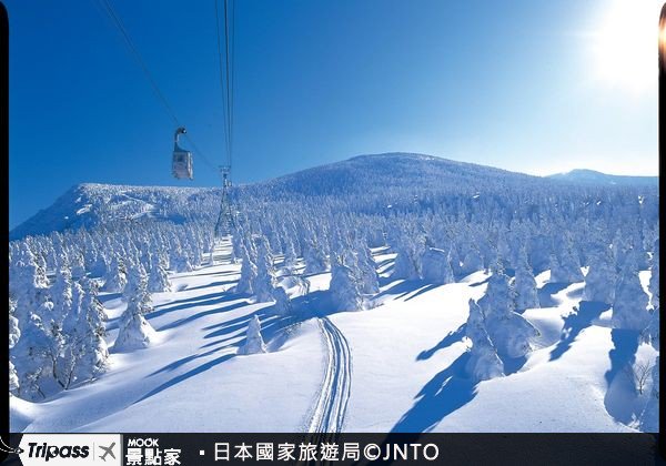 秋田名汤巡礼，树冰奇景震撼人心