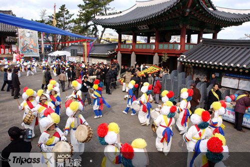 韩国济州正月十五野火节宣布取消