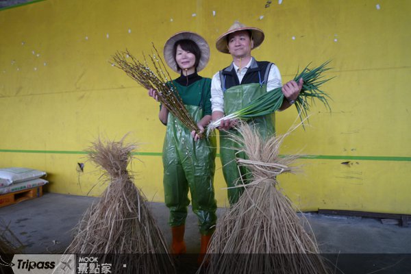 冬季玩宜兰，三星“银柳节”开跑！