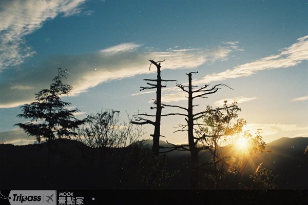 “梨山宾馆”风华再现，畅玩梨山到百年