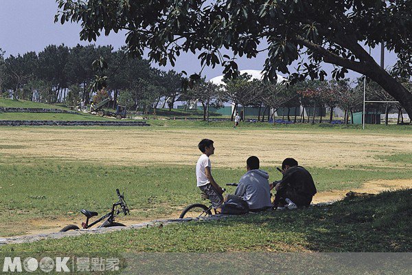 冲绳名护樱花季1月下旬登场