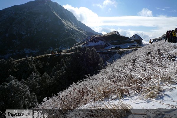 预测合欢山下雪日，免费饭店住一晚！