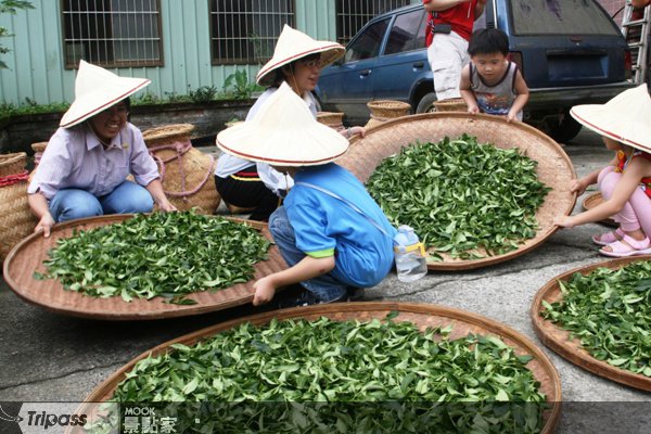 坪林包种茶节，抽澳门5日游大奖