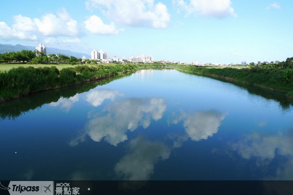 11月19日为我们的孩子种一棵树
