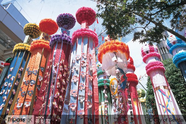 留宿森林之都，到仙台缤纷整个秋季！