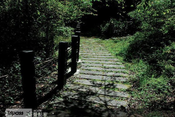 梨山生态环保步道征名拿奖金