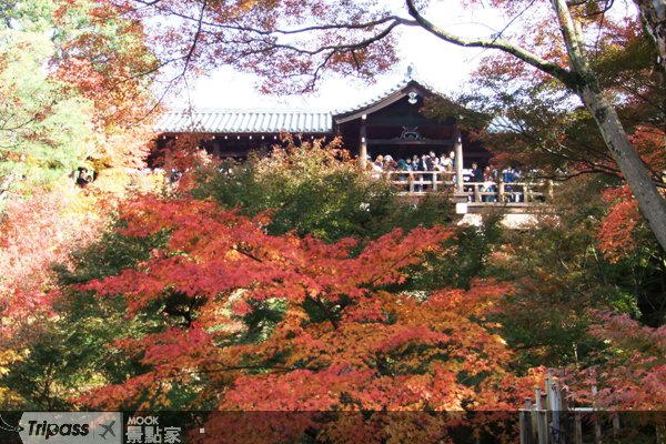古都红叶、大师建筑，日本美学之旅
