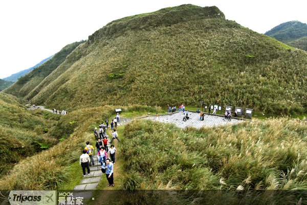 草岭古道芒花季11月登场
