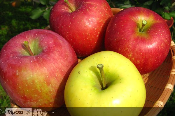 蜜苹果、烤米棒，秋田美食来尝鲜