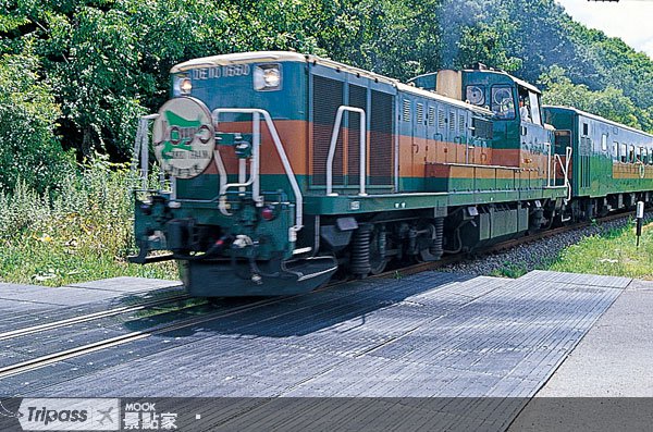 钏路湿原号夏日畅游，奔向道东自然天堂