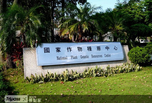 寻找特务37，登上现代诺亚方舟抽iPhone