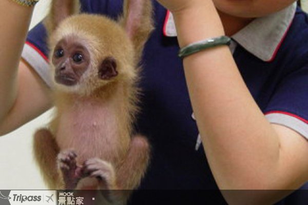 乐活健步向前走，亲子到动物园过父亲节！