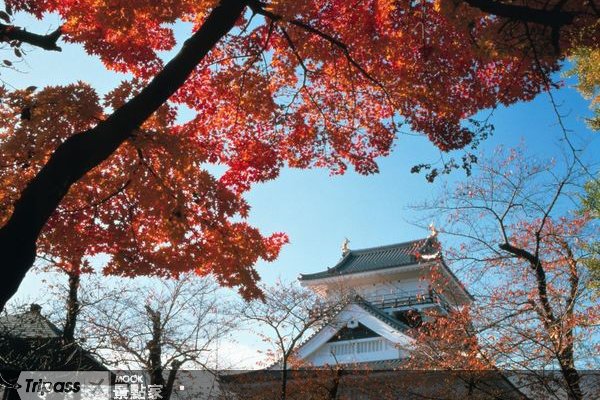 日本秋季魅力献礼，东北、北海道赏枫之旅