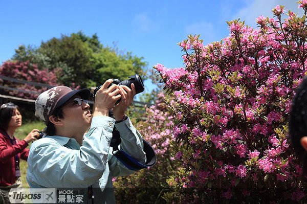 体验百大感动旅游路线，集红利把汽车开回家