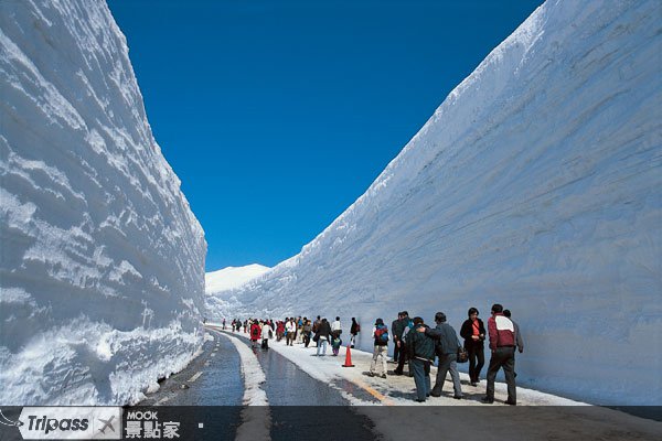 春季限定！立山黑部雪之大谷开山Up