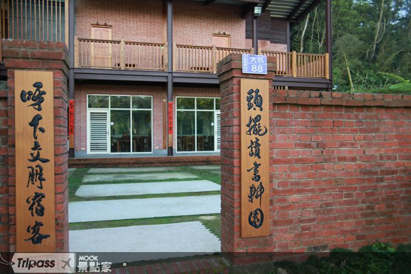 清晨赏桐花，在炭乡八八迎接五月雪