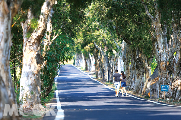 新春祈福公路小旅行七大景点一日游