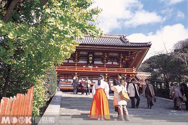 段葛樱花树下，听源氏物语::鹤冈八幡宫::镰仓