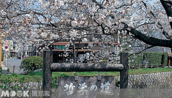 邂逅春日浪漫，京都追樱去（下）