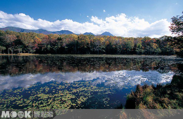闯秘境知床五湖，在上帝指尖深呼吸::北海道::知床半岛