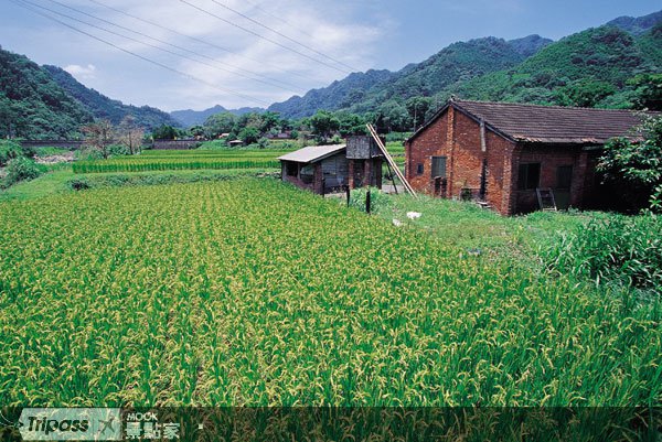 苗栗玩透透，跟着手册上山下海