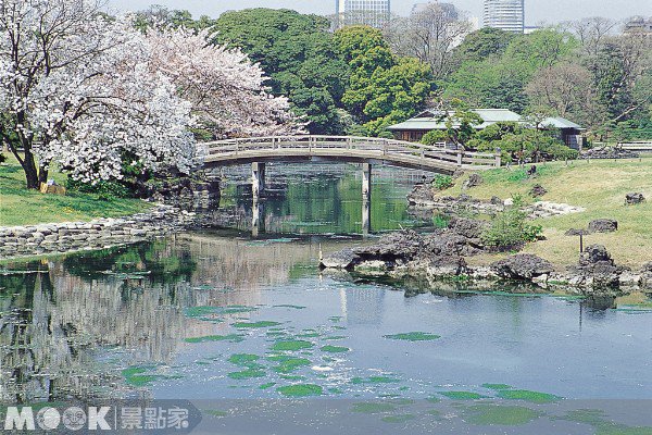 日本花见热点15选／填海造地也要赏樱！东京::滨离宫