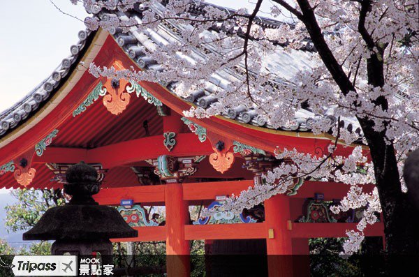 在世界遗产赏樱，樱姿翩翩古味更甚::关西::清水寺::赏樱