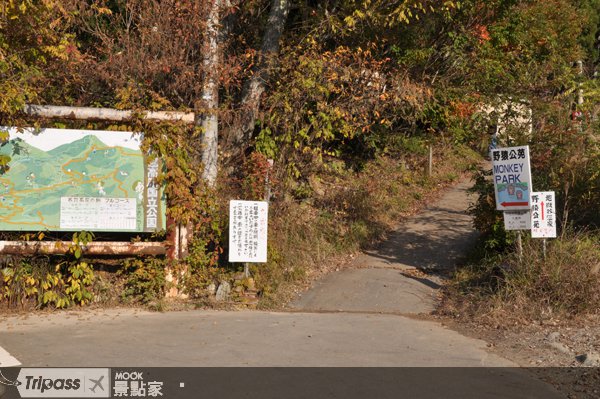 恋恋长野初体验(三)地狱谷野猿公园逗猴趣::日本::关东