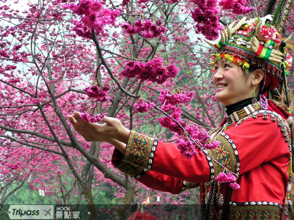上山下海FUN台湾，观光巴士铁路旅游护照开卖