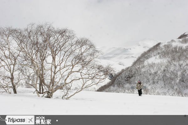 中国东北冰雪节，雾淞、冰灯显风情