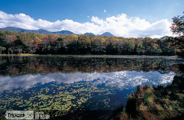 知床五湖秘境探险，熊出没注意！