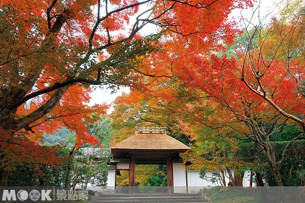 日本10大赏枫地点（上）::赏枫名所::狩猎枫红::红叶情报