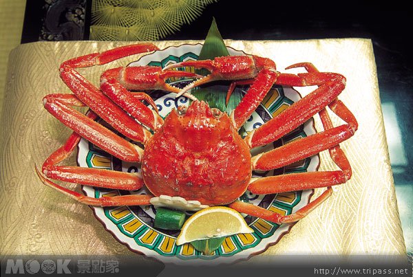 北陆幸福美味大进击，大啖梦幻越前蟹::甲罗酒