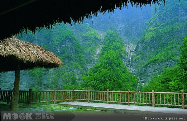 阿里山步道游踪，徜徉深秋森林浴::2009::万元有奖征文
