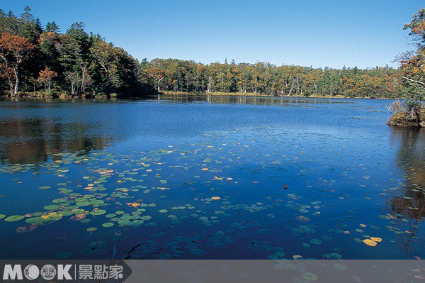 日本红叶狩！北海道正火红::知床秘境