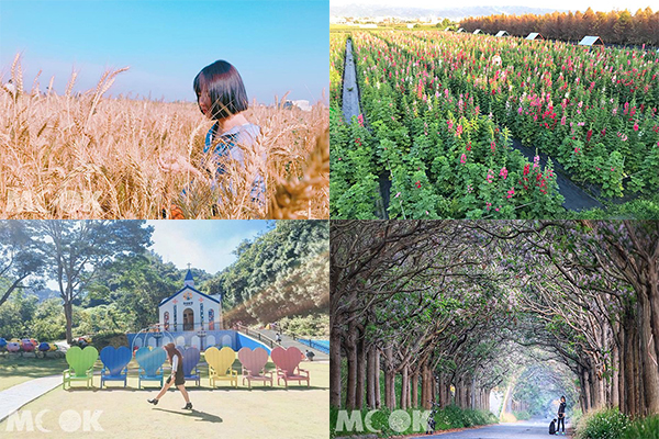情侣打卡放闪必收全台五大浪漫景点