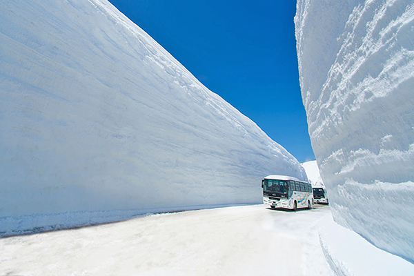 夏天也能赏雪！立山黑部开山情报